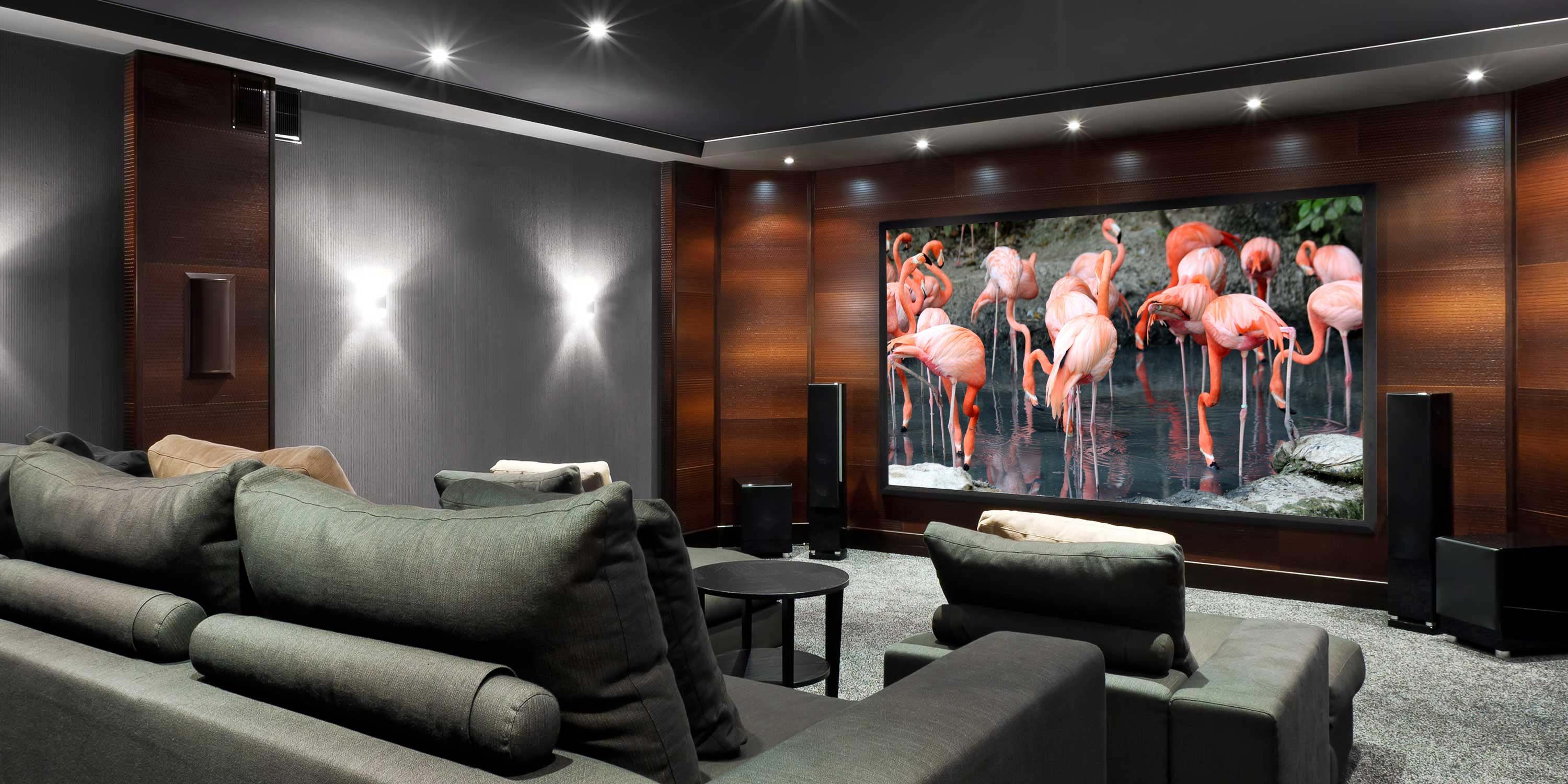 grey home theater with flamingos on screen